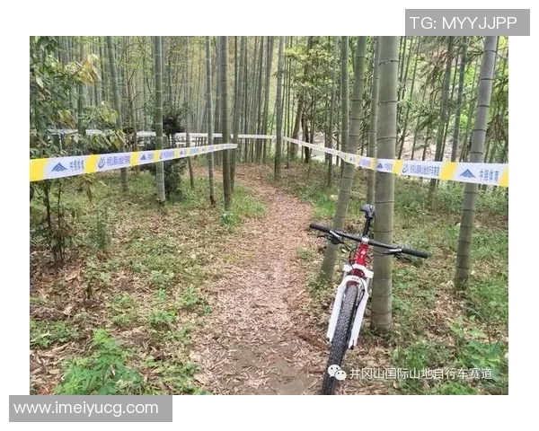 冈山与山形对决前瞻分析及赛果预测探讨