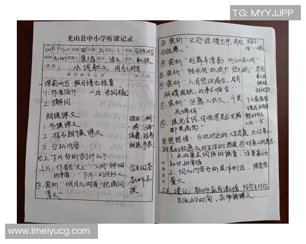 景菡一的成长之路：从初学者到行业翘楚的奋斗故事